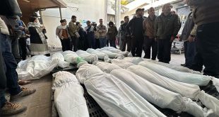 147 mártires palestinos y 243 heridos en el día 96 de la agresión israelí contra la Franja de Gaza