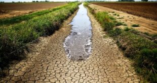 Una sequía sin precedentes en Siria, alerta la FAO