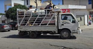 Desplazamiento de familias beduinas tras violaciones y masacres cometidas en Sweida