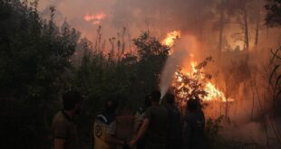 En imágenes: El desastre de los incendios forestales en Latakia