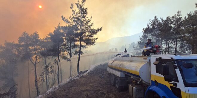 Siria logra controlar la mayoría de los incendios forestales en Latakia