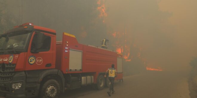 Grandes incendios afectan las zonas forestales en Latakia