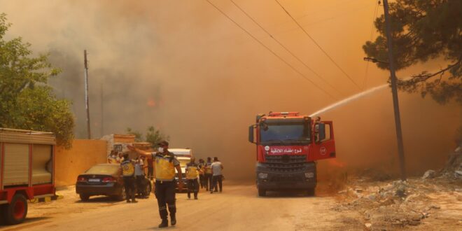 Incendios forestales arrasan el norte de Latakia en Siria... Turquía y Jordania colaboran en los esfuerzos de extinción