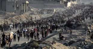 Consejo Global para la Tolerancia y la Paz condena ocupación israelí en Gaza y alerta sobre graves consecuencias humanitarias