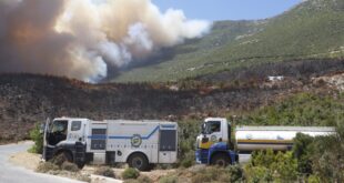 Incendios avanzan hacia zonas pobladas en Al-Ghab, Siria