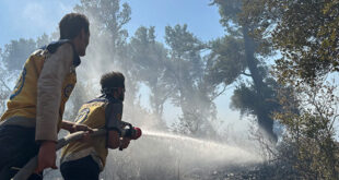 Siria intensifica lucha contra incendios forestales ante dificultades climáticas y del terreno