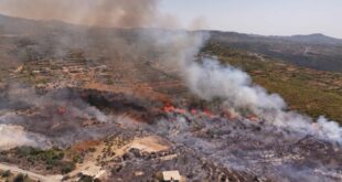 Incendios avanzan hacia zonas pobladas en Al-Ghab, Siria