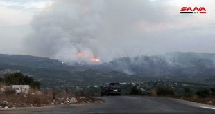 قرية بيرة الجرد