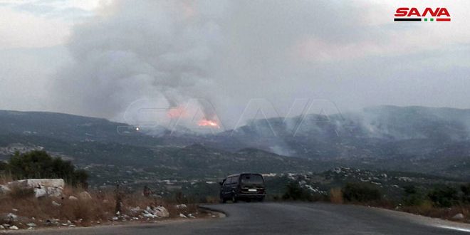 قرية بيرة الجرد