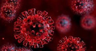 السلالة الجديدة من فيروس كورونا