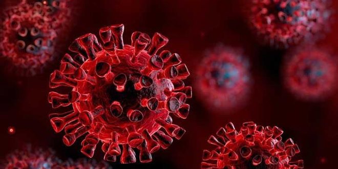 السلالة الجديدة من فيروس كورونا