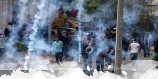 الضفة الغربية