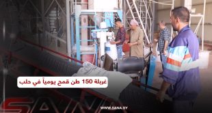 إكثار بذار حلب.. غربلة 150 طن قمح يومياً في مركزي تل بلاط والليرمون