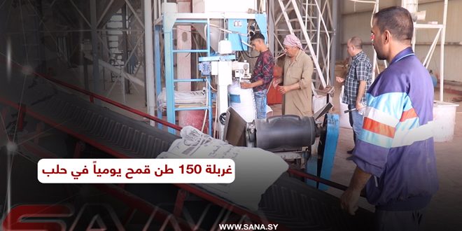 إكثار بذار حلب.. غربلة 150 طن قمح يومياً في مركزي تل بلاط والليرمون