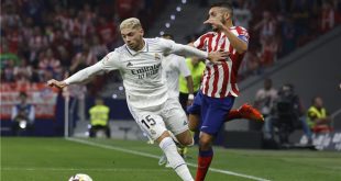 فيدى فالفيردي