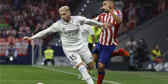 فيدى فالفيردي