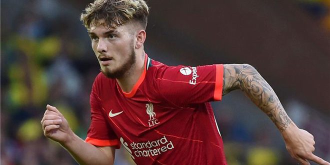 هارفي إيليوت