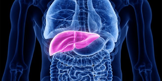 سرطان الكبد