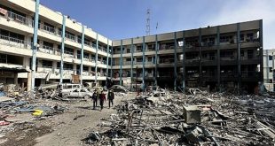 التربية الفلسطينية